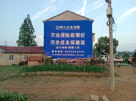 修水墙体广告的优劣势你知道吗？